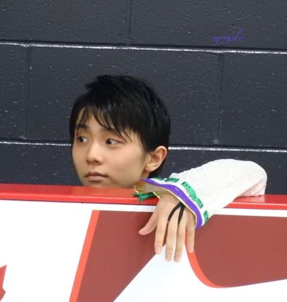 1skate48's tweet photo. Never have I seen a more adorable look in his eyes - telling a million feelings☀️
2017 ACI. His friend off ice and rival in competitions Javier Fernández was performing
#ACI2017 #羽生結弦 #YuzuruHanyu #HanyuYuzuru #Yuzuru
#WeLoveYouYuzuruHanyu #WeLoveYouHanyuYuzuru 💞☀️ https://t.co/Bl40EgSpDK