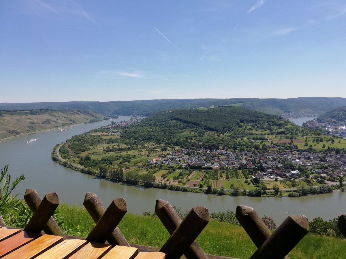 froese84's tweet photo. Letztes Wochenende in Boppard, mit Pause im Biergarten. 😎🐾 https://t.co/KmL1kPTsQL