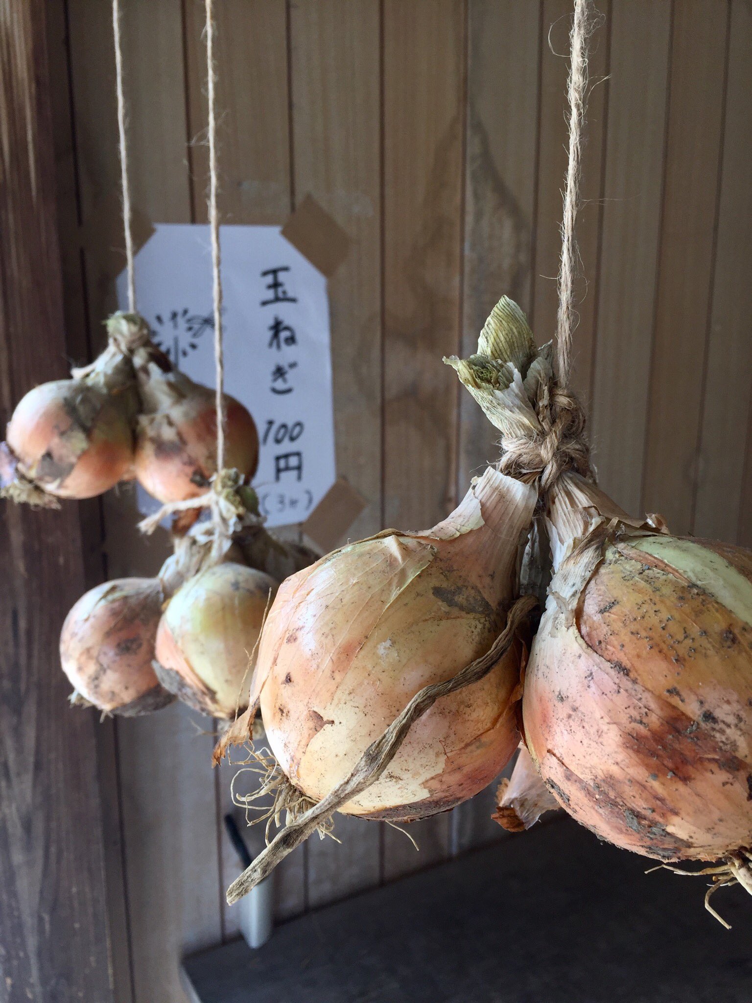 野菜工房おおた ベジブベーカリー店主 玉ねぎ 湿気に弱いため 保存は吊るす方法がオススメです 風通しが良く日の当たらない場所に吊るして下さい 要らないストッキングを使うとラクに吊るすことができます 吊るす場所がない方はひとつずつを新聞紙