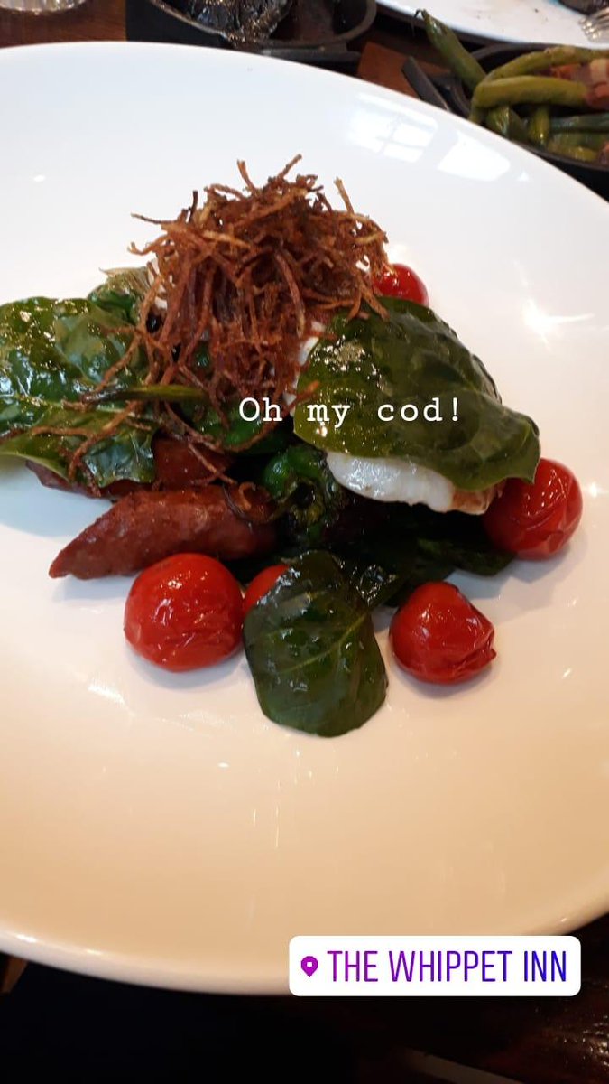 Ellie: Nutkin Avenue Illustrations tweet media