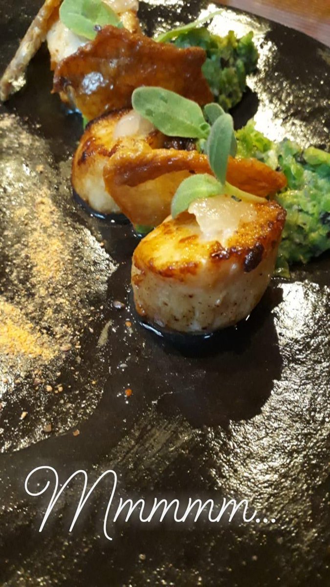 Ellie: Nutkin Avenue Illustrations tweet media