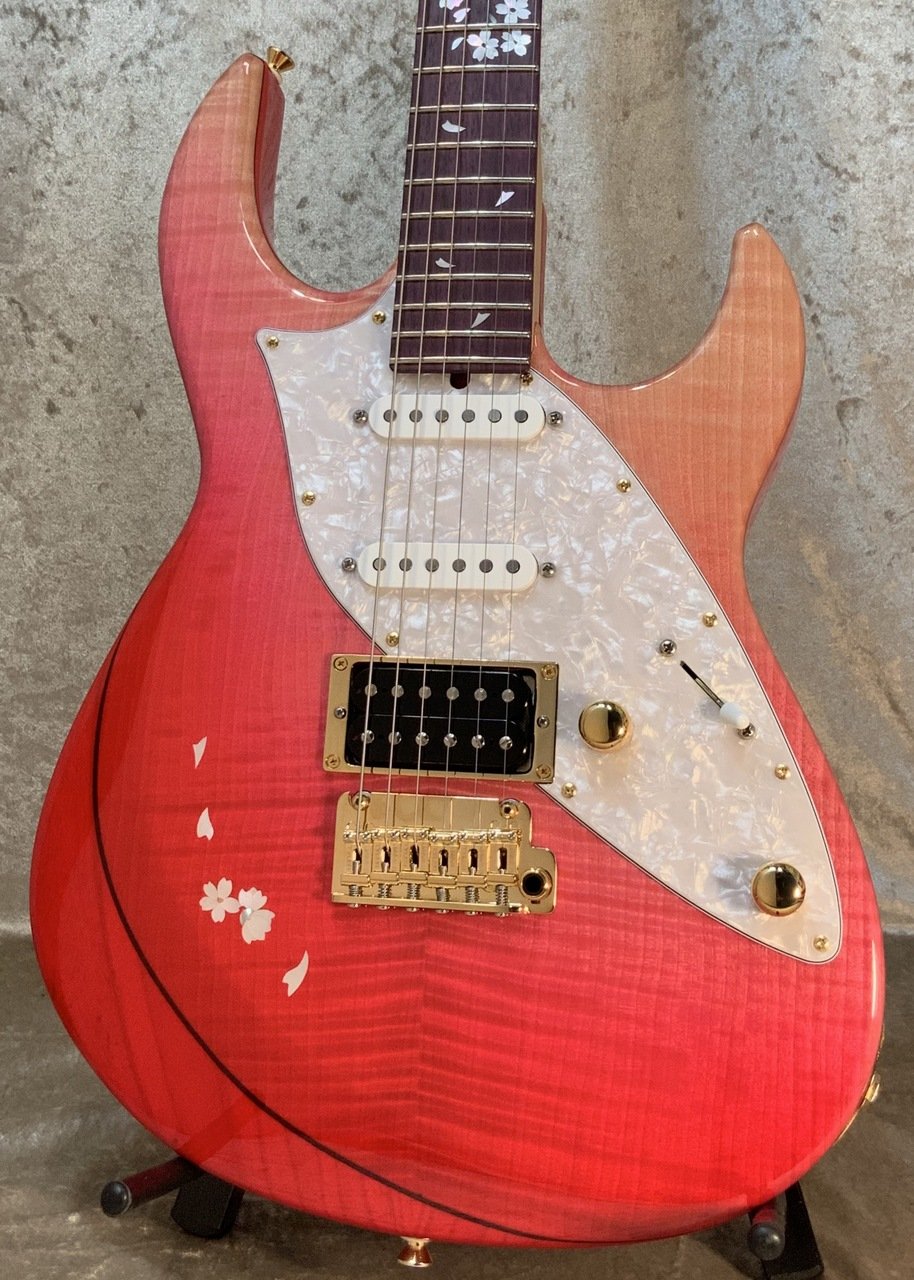 STRGuitars - Search / X
