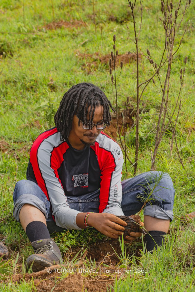 Alphapapa12's tweet photo. @GreenBeltMovmnt and @nicbankkenya working towords #ChangeTheStory Planting a Tree. #WorldEnvironmentDay #PANDAMiti #TurnUpForGood @PeperukaWorld @WWF_Kenya @NemaKenya @TurnupForGood #WorldEnvironmentDay2019 #BeatAirPollution https://t.co/PJRRzCxrPf https://t.co/aARBRtdXiU
