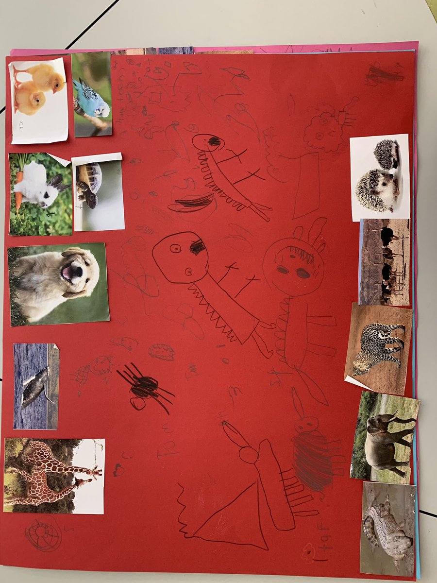 misshill2020's tweet photo. Yesterday we started exploring sorting within my maths GTPA unit - the students made posters and sorted a range of different animals. These kids constantly amaze me with their brilliant ideas! #foundation #ACUedu_p https://t.co/CceowEdhnc