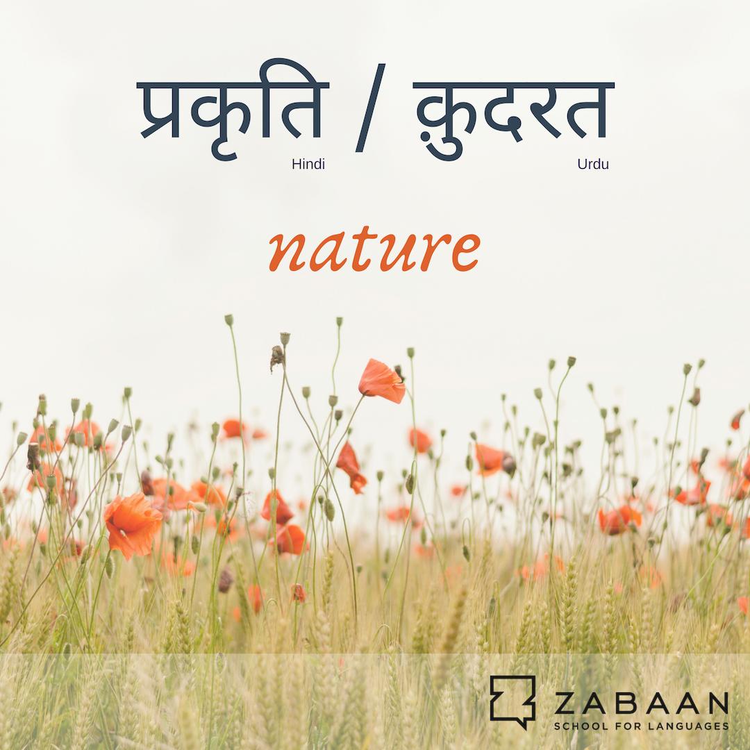 skildring Sophie Civic Zabaan School for Languages on Twitter: "The words for #nature, both in  Hindi and Urdu, also carry an additional meaning of being the divine power  or force behind the material world. What