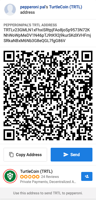 TurtlesHill 🐢 tweet media