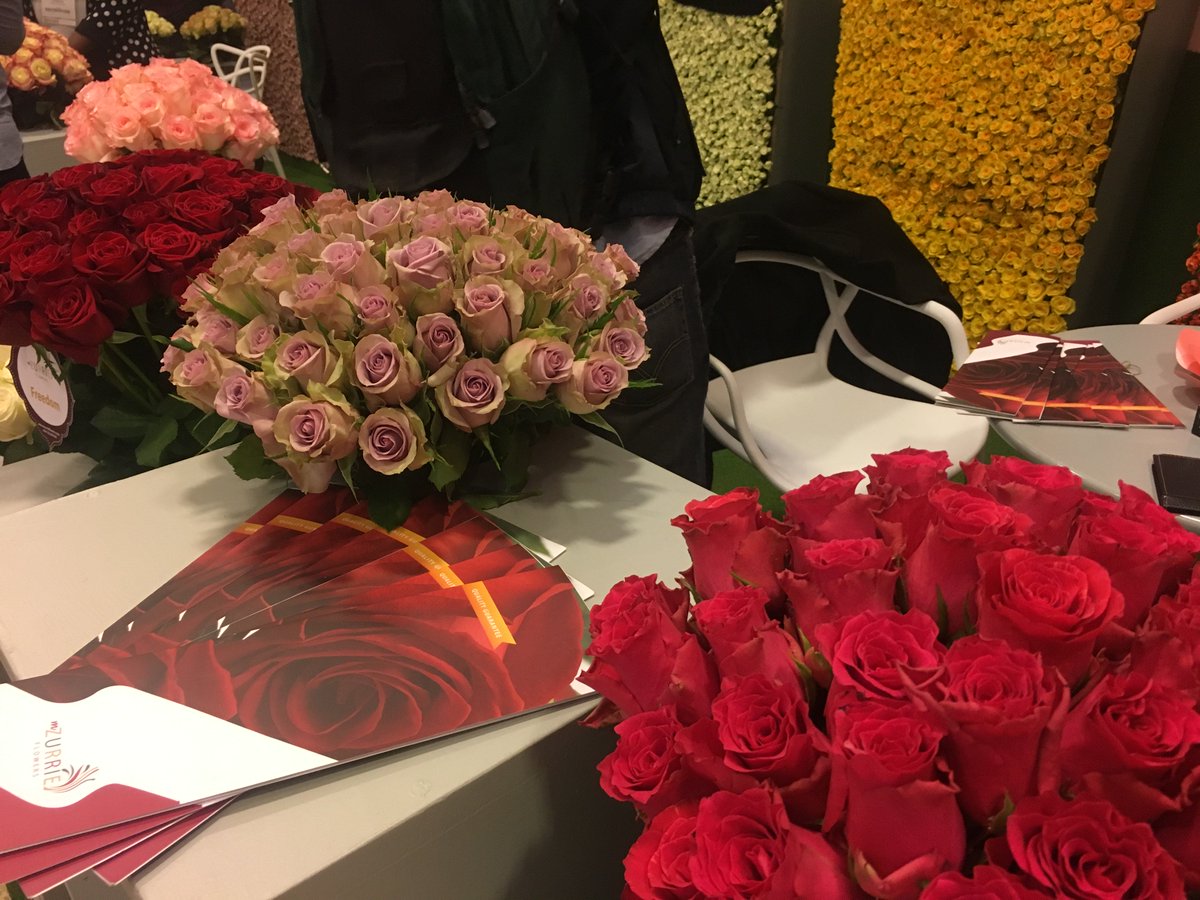 Trade_Kenya's tweet photo. Kenya will continue to work closely with flower consuming nations across the globe to  harness business opportunities, deepen existing trade relations, and, address all concerns affecting the sector: PS Trade @Kiptoock @PeterMunya @KAM_kenya @FPEAK_KE @kenyaflower @KephisKe https://t.co/Yxb3YVbQ6Q