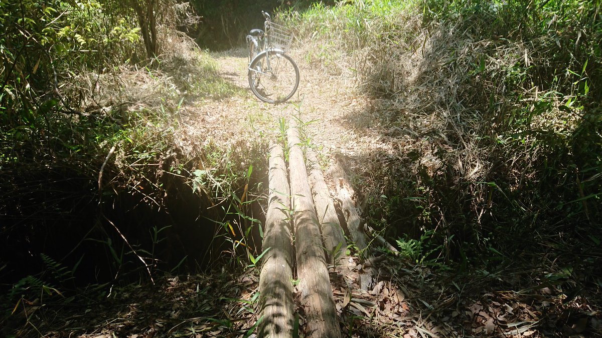 ヒロキャン 本垢 軽車道に突如現れる丸太橋 実は 愛知県道368号豊川蒲郡線 のワンシーンだ 日本道路好団 険道 ヒロキャン 本垢 軽車道に突如現れる丸太橋 実は 愛知県道368号豊川蒲郡線 のワンシーンだ 日本道路好団 険道