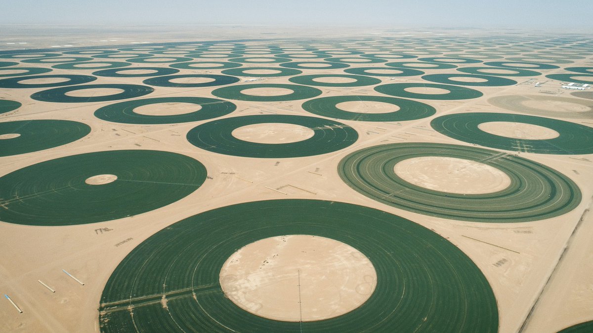 La Barone tweet media