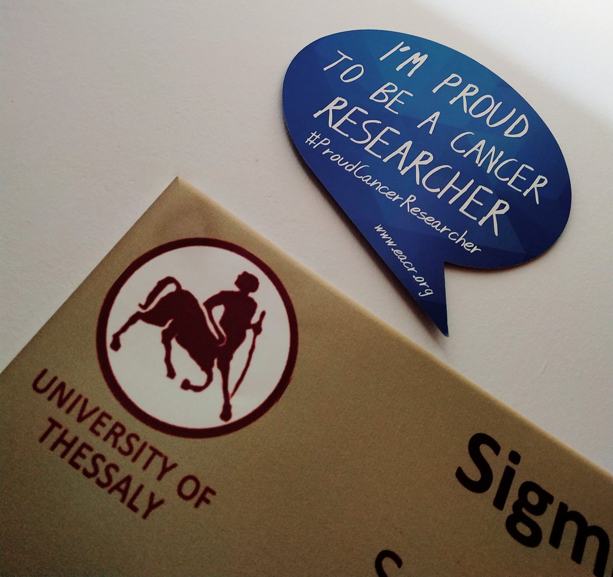 RafaellaKa's tweet photo. Proud to be🙂
Changes are yet to come👩‍⚕️👩‍🔬👌💪
#ProudCancerResearcher https://t.co/ab56Ks2qWs