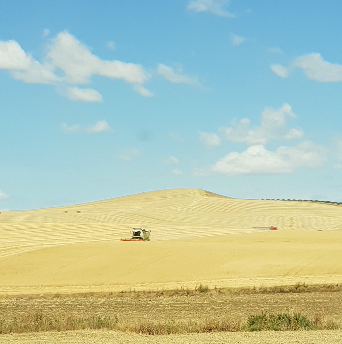 Benj' Thi🇫🇷🍎🥔 tweet media