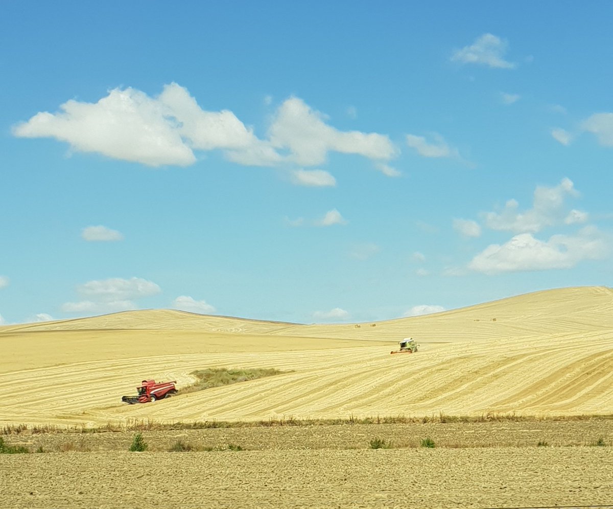 Benj' Thi🇫🇷🍎🥔 tweet media