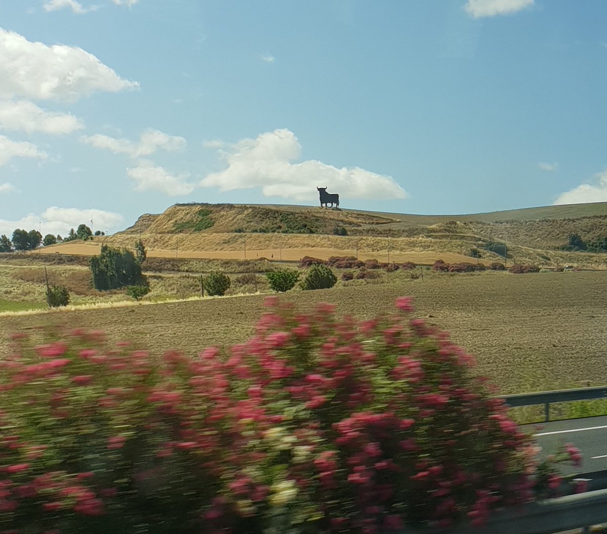 Benj' Thi🇫🇷🍎🥔 tweet media