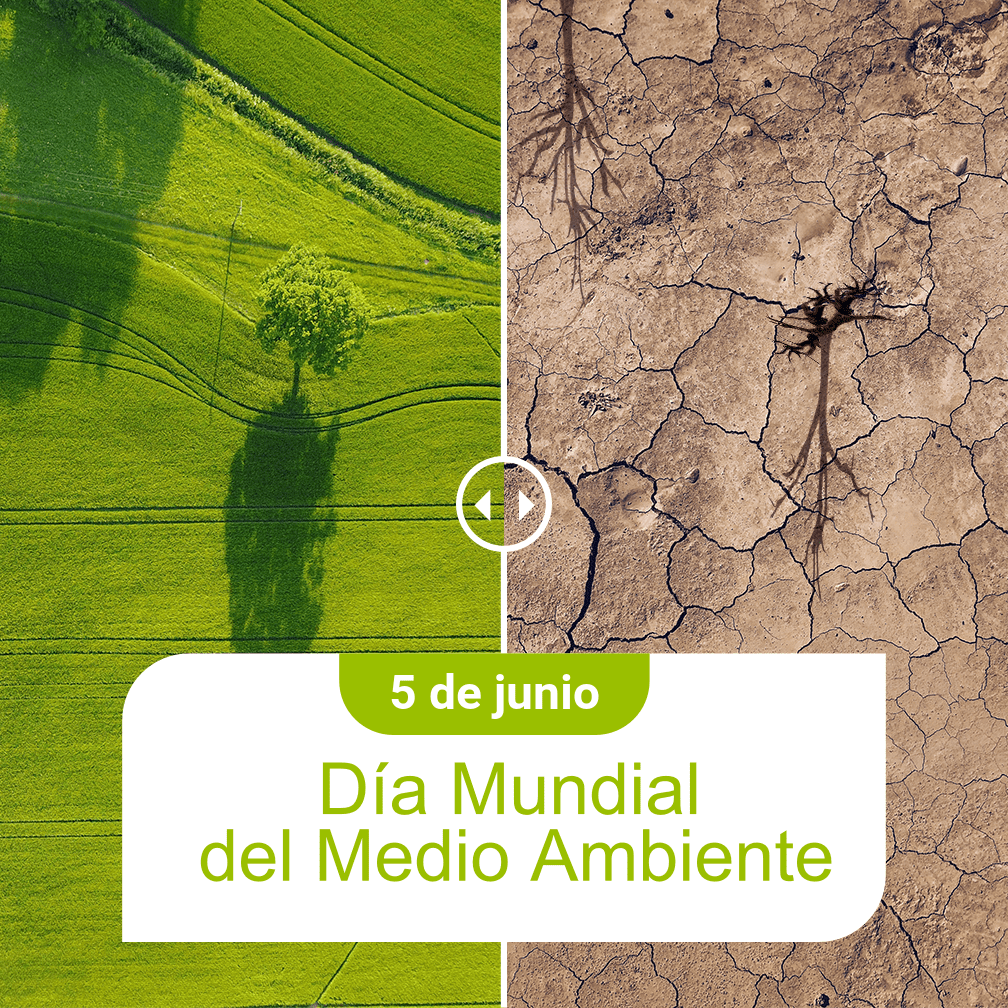 tiknervio's tweet photo. ¿No crees en el Efecto Invernadero?
¿Crees que el 50% de los problemas del mundo fueron inventados por ecologistas?
¿Entonces echa un vistazo a estas fotos?
Juzgando por esto, tus nietos nacerán en un mundo completamente diferente.

https://t.co/L8AlBxKRQU https://t.co/YST5wSVPcz