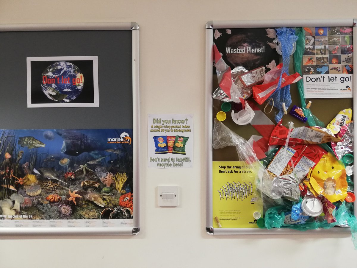 Helping to save the planet at Aberconway #library #WorldEnvironmentDay recycle your waste packets here and check out our thought provoking display <a href="/TerraCycle/">TerraCycle US</a> #Recycle <a href="/CardiffUniLib/">Cardiff University Libraries</a> 🌍🐡