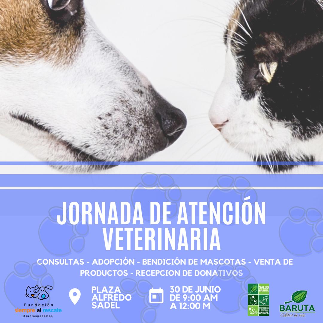 Si tienes mascota, esto te interesa!

El #30Jun traemos para tu mascota una Jornada de #AtenciónVeterinaria en la Plaza Alfredo Sadel en #LasMercedes, con consultas y atención para los consentidos, y se recogerán donativos para esos peludos que no tienen hogar

¡Te esperamos!