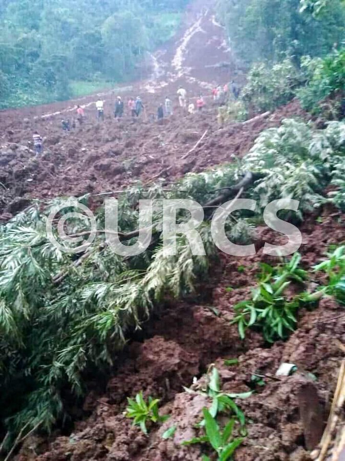 View image on Twitter