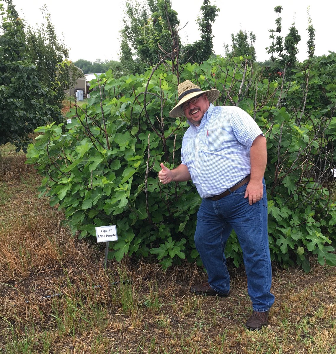 Shannon found something he liked in Texas, an LSU Fig!