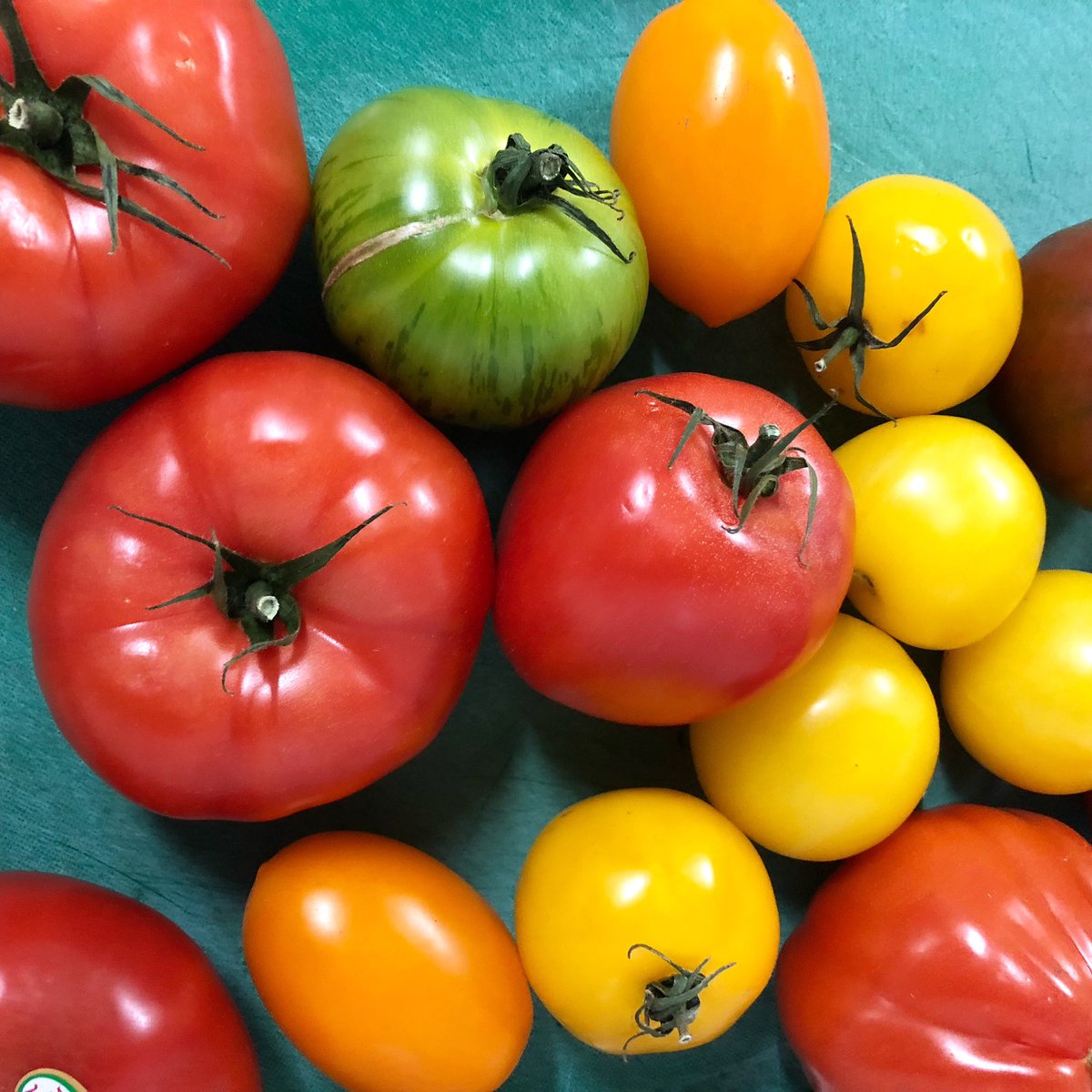 24theoval's tweet photo. Tomato Rainbow
#24theoval #oval #localrestaurant #kennington #londoneats #londonfoodies #londondining #locallove #heritagetomatoes #colourfullunch #freshproduce https://t.co/Gt96MdkkoT