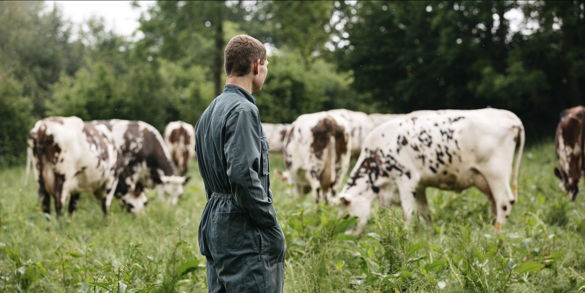 Elle & Vire (@elleetvire) on Twitter photo Aujourd’hui, nous voulions dire merci.
Merci aux éleveurs de vaches laitières en Normandie qui travaillent quotidiennement pour nous fournir un lait riche de qualité et 100% naturel depuis plus de 70 ans, et qui s’inscrivent dans une démarche de production laitière durable. 🥛🙌 Aujourd’hui, nous voulions dire merci.
Merci aux éleveurs de vaches laitières en Normandie qui travaillent quotidiennement pour nous fournir un lait riche de qualité et 100% naturel depuis plus de 70 ans, et qui s’inscrivent dans une démarche de production laitière durable. 🥛🙌