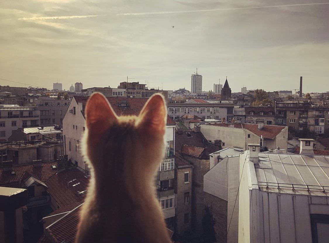 Hans Giebenrath tweet media