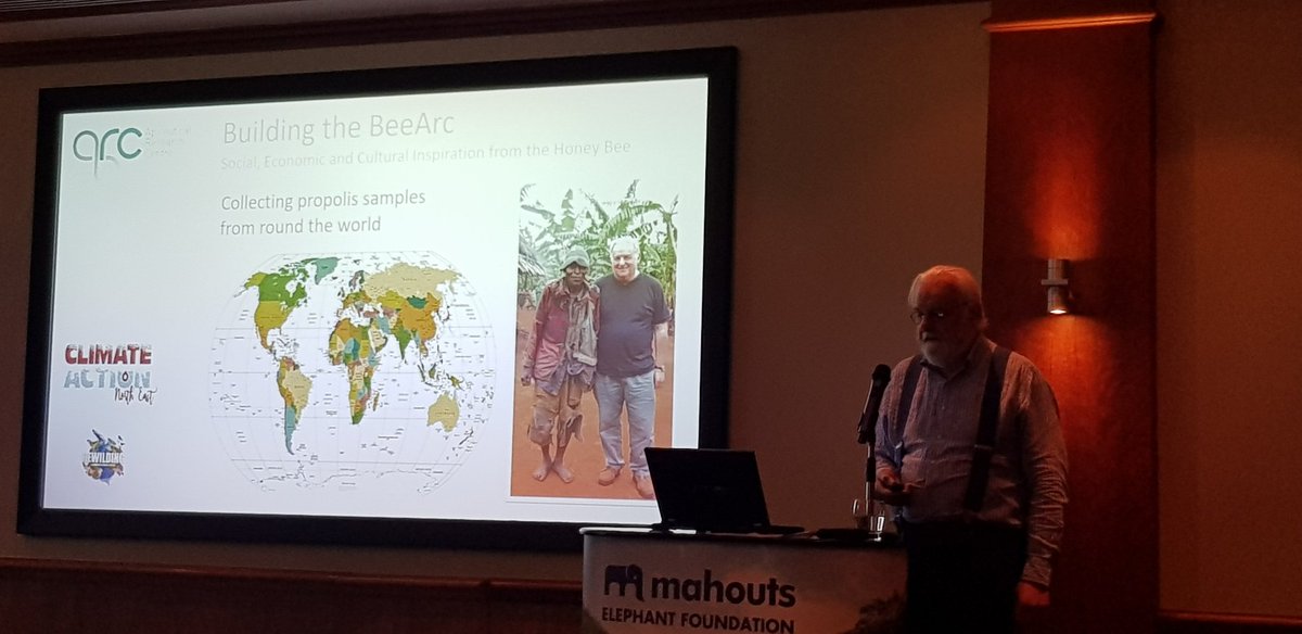 ResilientSystem's tweet photo. Buzzing about the speech at @ClimateActionNE event from the excellent James Fearnley of @beearc1 about the natural medicine Propolis (bee glue) that inhibits bacteria from joining together to become a superbug like MRSA - like the UN of medicine #rewilding #WorldEnvironmentDay https://t.co/XIz8ZMGis2
