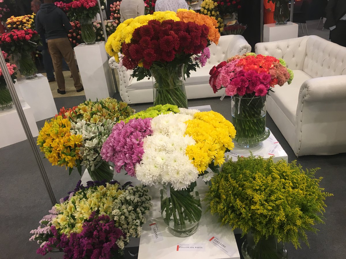 Trade_Kenya's tweet photo. Kenya will continue to work closely with flower consuming nations across the globe to  harness business opportunities, deepen existing trade relations, and, address all concerns affecting the sector: PS Trade @Kiptoock @PeterMunya @KAM_kenya @FPEAK_KE @kenyaflower @KephisKe https://t.co/Yxb3YVbQ6Q