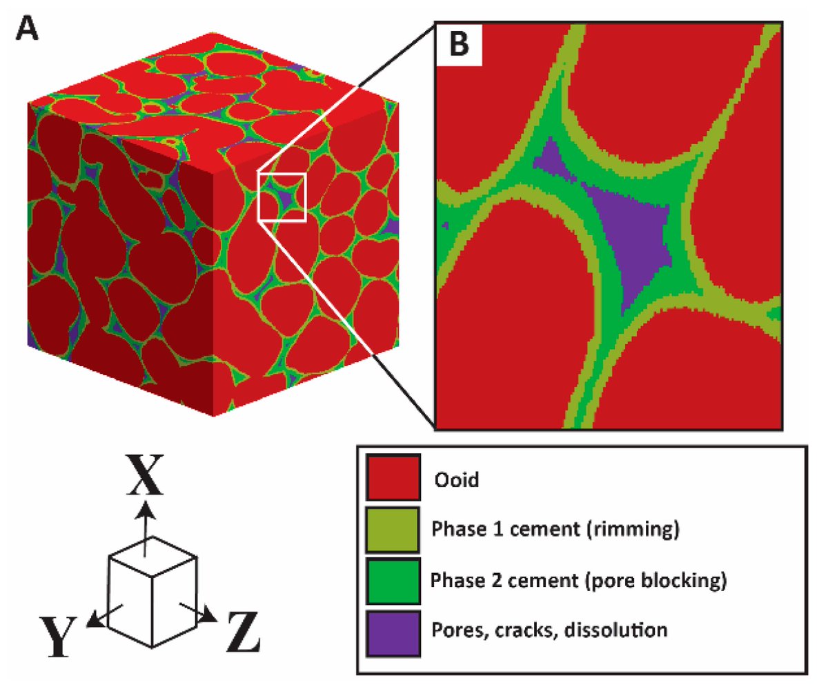 Geosciences_OA's tweet image. A Simple Effective Method for Three-Dimensional Modelling of Cementation, Fracturing and Dissolution of Carbonate Rocks: Illustrated  through Oolitic Limestone 
👉mdpi.com/2076-3263/9/6/…
#Carbonate_Rock; #Cementation; #dissolution; #porosity; #permeability