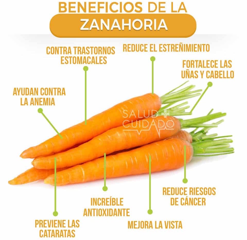 Emplea_TNHL's tweet photo. Hoy, reparto de Carnicería Carmelo Puche y Fruteria Jose Muñoz, contacta con nosotros para llevar su compra a casa. Teléfono de contacto 681 682 343.

Os dejo con una foto sobre los beneficios de la zanahoria.
     
¡Qué tenga un buen día! https://t.co/Nxiq4qm4Bs