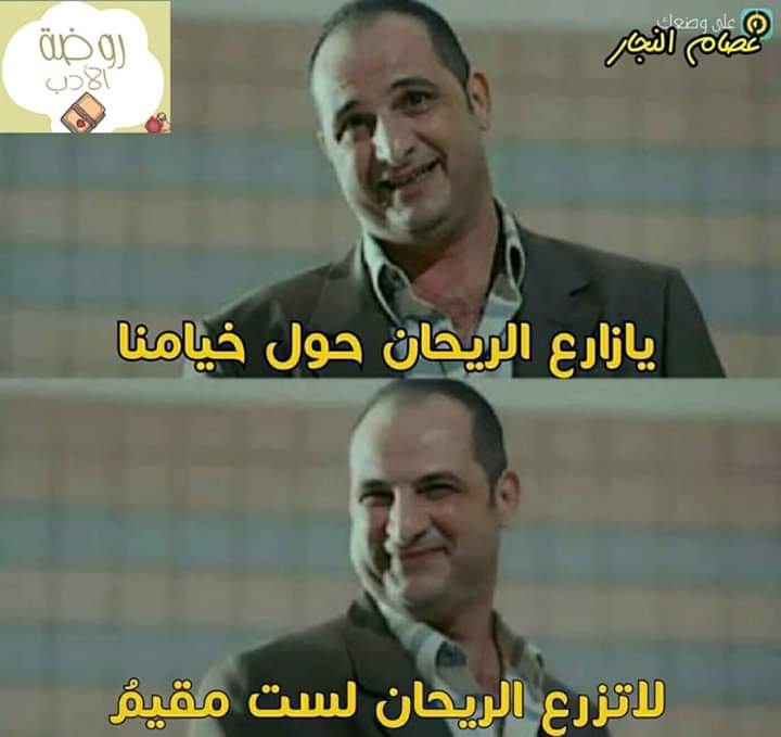 Mahmoud Saad (@mahmoud_m_saad) on Twitter photo 