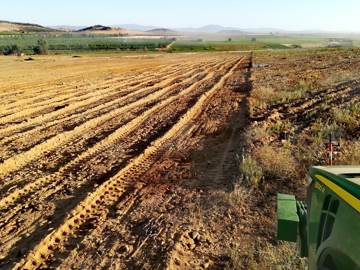 manuel1mgr's tweet photo. Preparación de terreno para la próxima plantación 💪🏼💪🏼🌳🌳 https://t.co/vtAonH8q7f