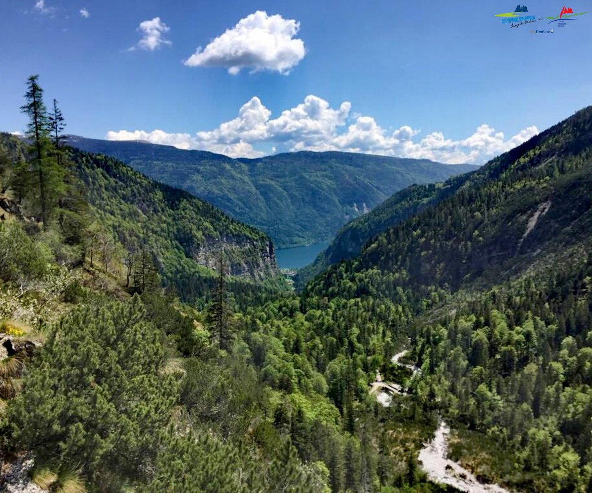 Festeggiamo il #WorldEnviromentDay respirando aria pulita nel bel mezzo della natura... voi che programmi avete per la giornata mondiale dell'ambiente?
#lagodimolveno #giornatamondialedellambiente