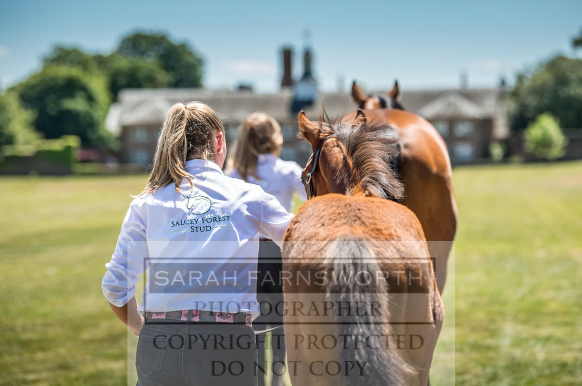 Embroidered shirts .. perfect for shows! 🐴
