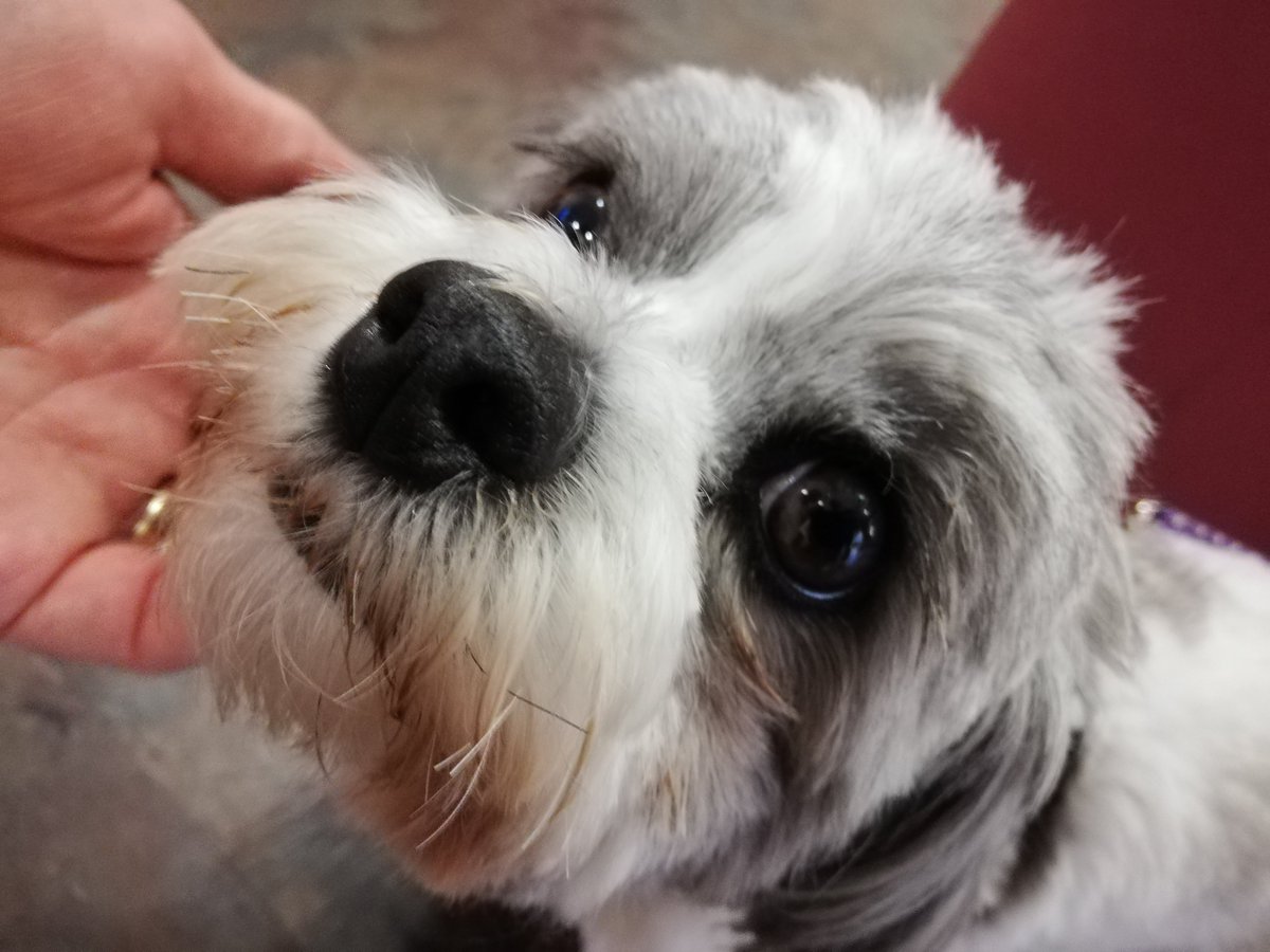 Aberconway Library tweet media