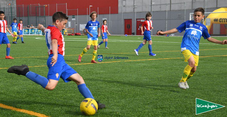 EcotisaCUP's tweet photo. ⚽ RANKING GOLEADORES FASE FINAL | @EcotisaCUP 💚🐘

🧒🏻 Samuel Palma Sánchez
🎽 @ADVILLAROSA
⚽ 7 goles

🧒🏻 Yago Meana
🎽 @RealSporting
⚽  7 goles

🧒🏻 Pablo Villanueva 
🎽 @RealSporting
⚽  6 goles

#NoLoDejesFueraDeJuego

@equipa2sport @CRSASALAMANCA @Ecotisa_ https://t.co/3p4Jrsh1nI