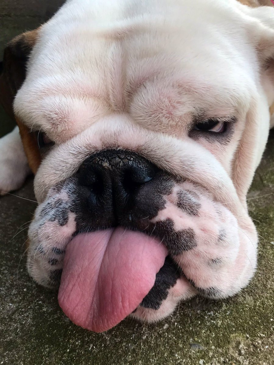 Please help if you can... 

shopdonations@gmail.com 

Thank you 

Please RT XXX