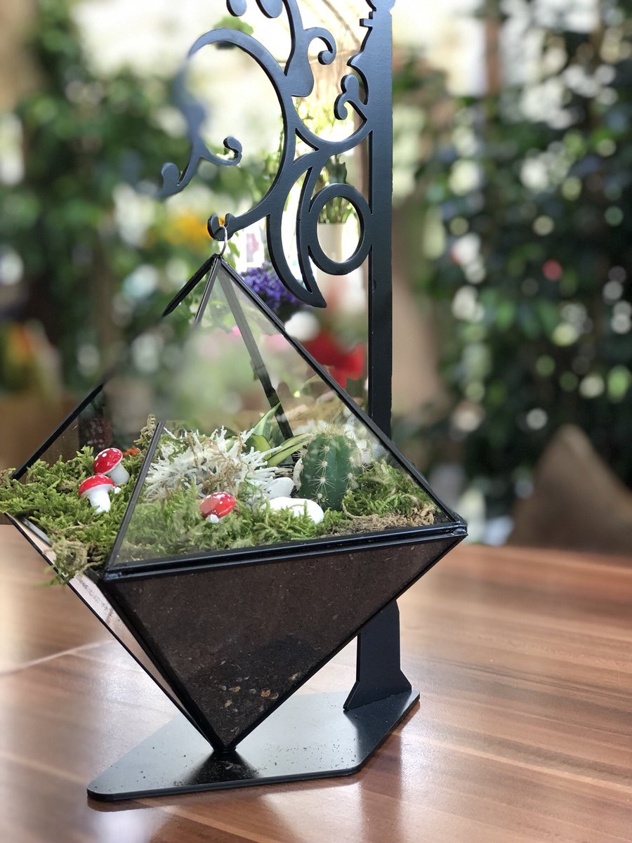 Goksel_Saglam's tweet photo. Çiçek güzeldir sunmak daha güzeldir” #çiçek #sukulent #elevora #ataşehir #eleganceflowersataşehir @Goksel_Saglam https://t.co/F6MtQob6ho