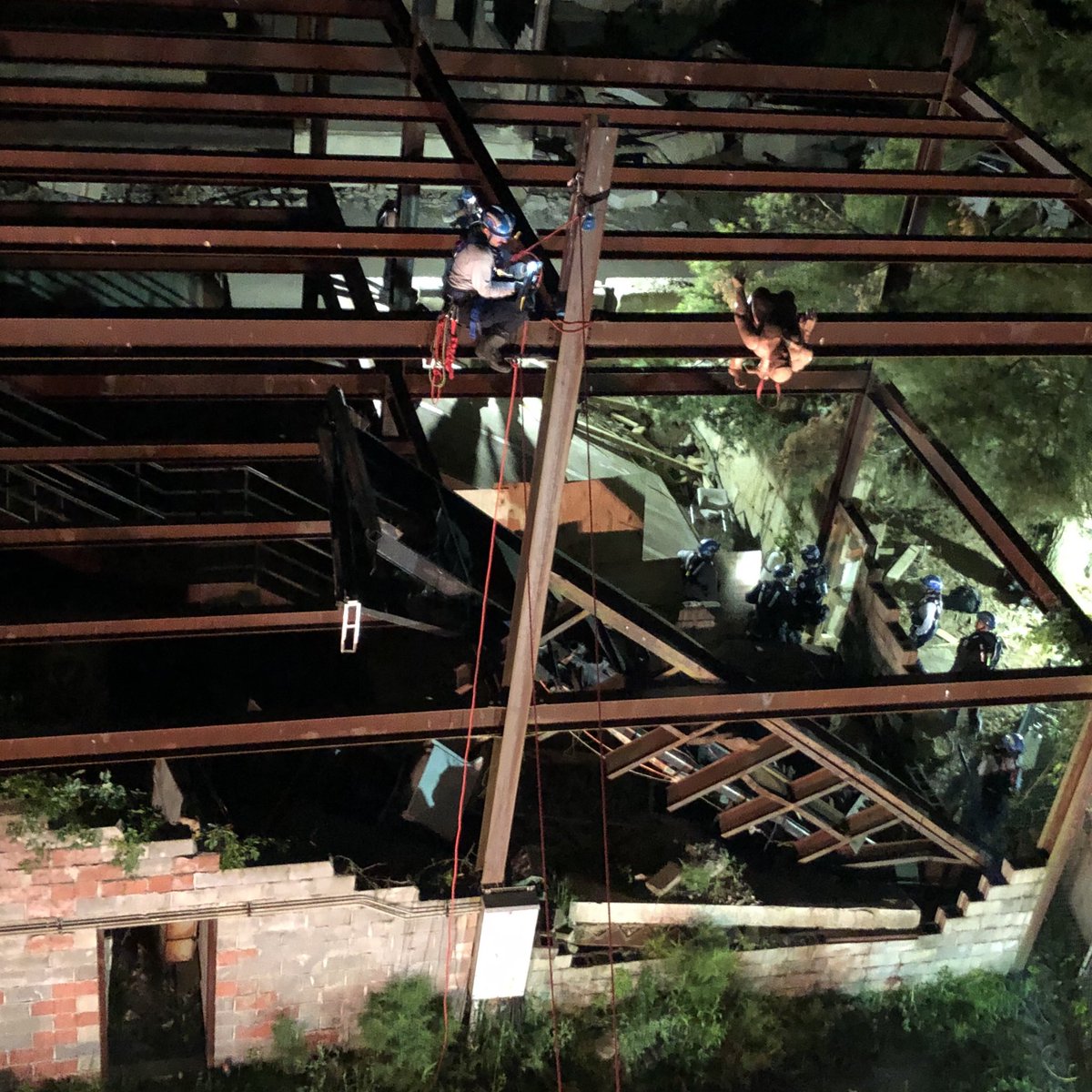 Tom Zajac tweet media