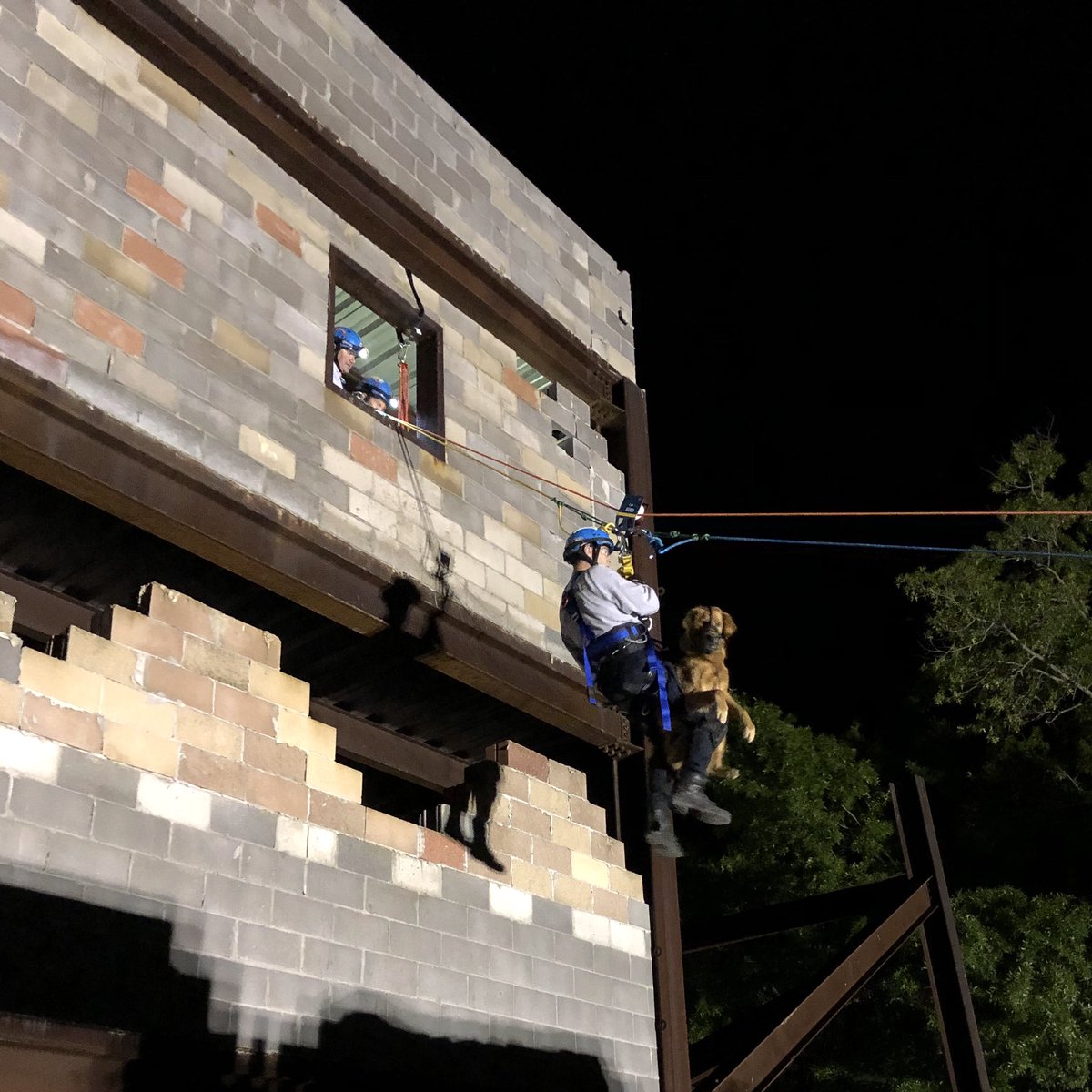 Tom Zajac tweet media