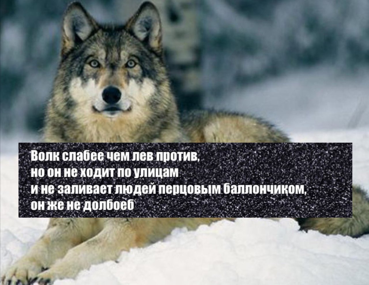 D8SN09EXkAAwe13?format=jpg&name=large