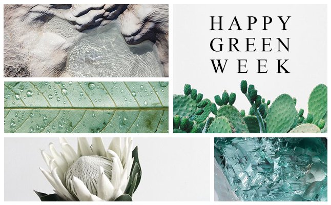 🌿[GREEN WEEK] À l'occasion de la Journée Mondiale de l'Environnement et de l'Océan, le Prescripteur a décidé de célébrer toute cette première semaine de juin les initiatives green qui protègent nos océans et notre planète ! 🌎 RDV sur leprescripteur.com !