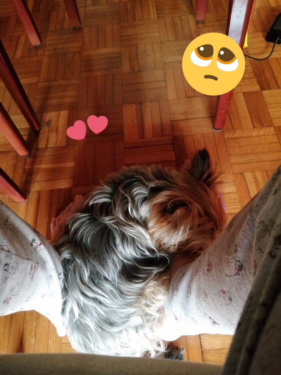 alba134340's tweet photo. After listening to jin's beautiful song I'm working on a college paper & I have my doggo napping in my feet and I just wanna cuddle with him & tell him how freackin much I love him & that I never want him to go ๐ญ๐ฅบ๐ฅบ๐ฅบ๐ฅบ๐ฅบ๐ฅบ๐พโค๏ธโค๏ธ๐๐
#THISNIGHTbyJIN #์ด๋ฐคByJin #StreamThisNight https://t.co/RKYLLpm2m3