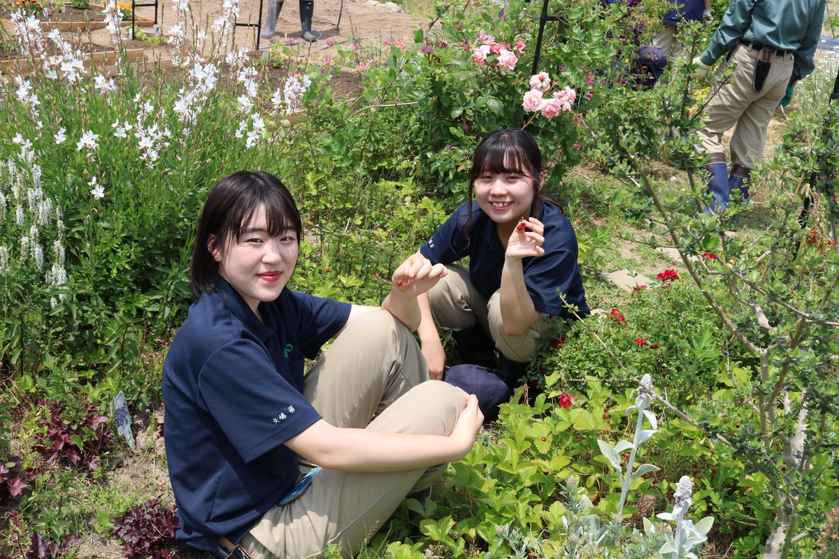 アビオちゃん 新潟農業 バイオ専門学校 على تويتر 園芸デザイン 科 校外実習 に おじゃましたビオ 野イチゴ を発見 暑さ も 忘れられる 甘さビオ 一瞬だけビオ 新潟農業バイオ専門学校 カレッジリーグ アビオ アビオちゃん Abio