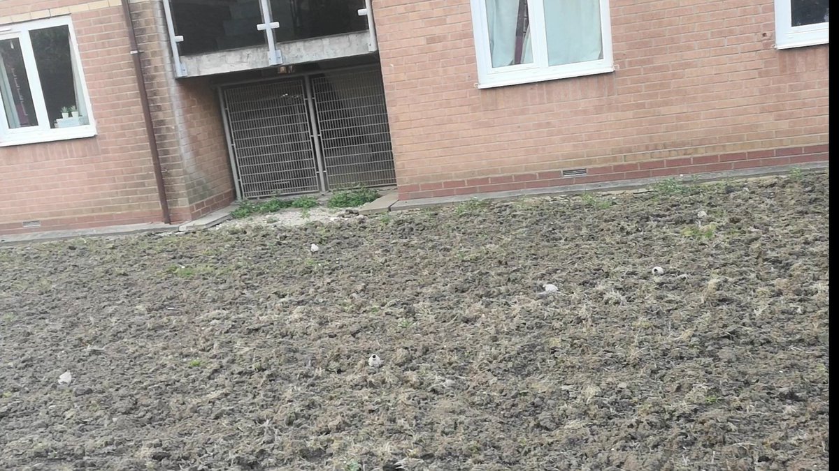 The Green Community tweet media