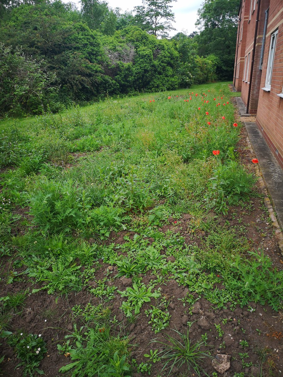 The Green Community tweet media