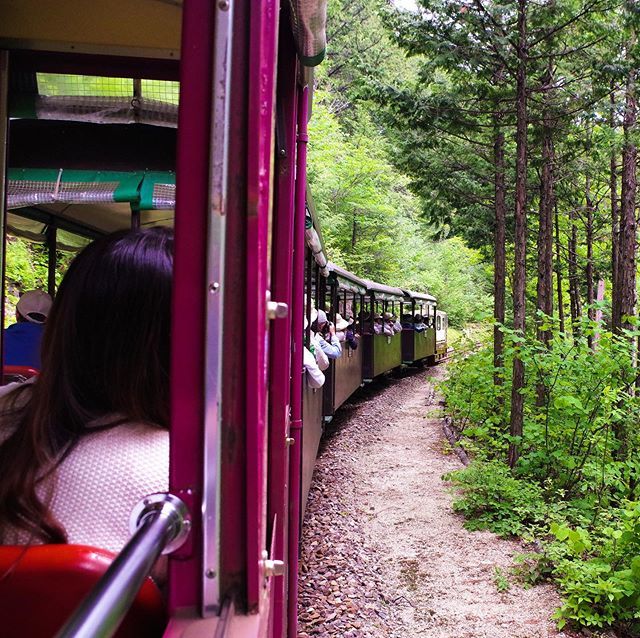 GoNagano_Japan's tweet photo. Riding the logging railroad at the Akazawa Recreational Forest Park in the Kiso Valley. The cool air, perfumed with the scent of hinoki cypress, is incredibly refreshing! https://t.co/0B1CB9j0nL https://t.co/Lzfc53Dz0G