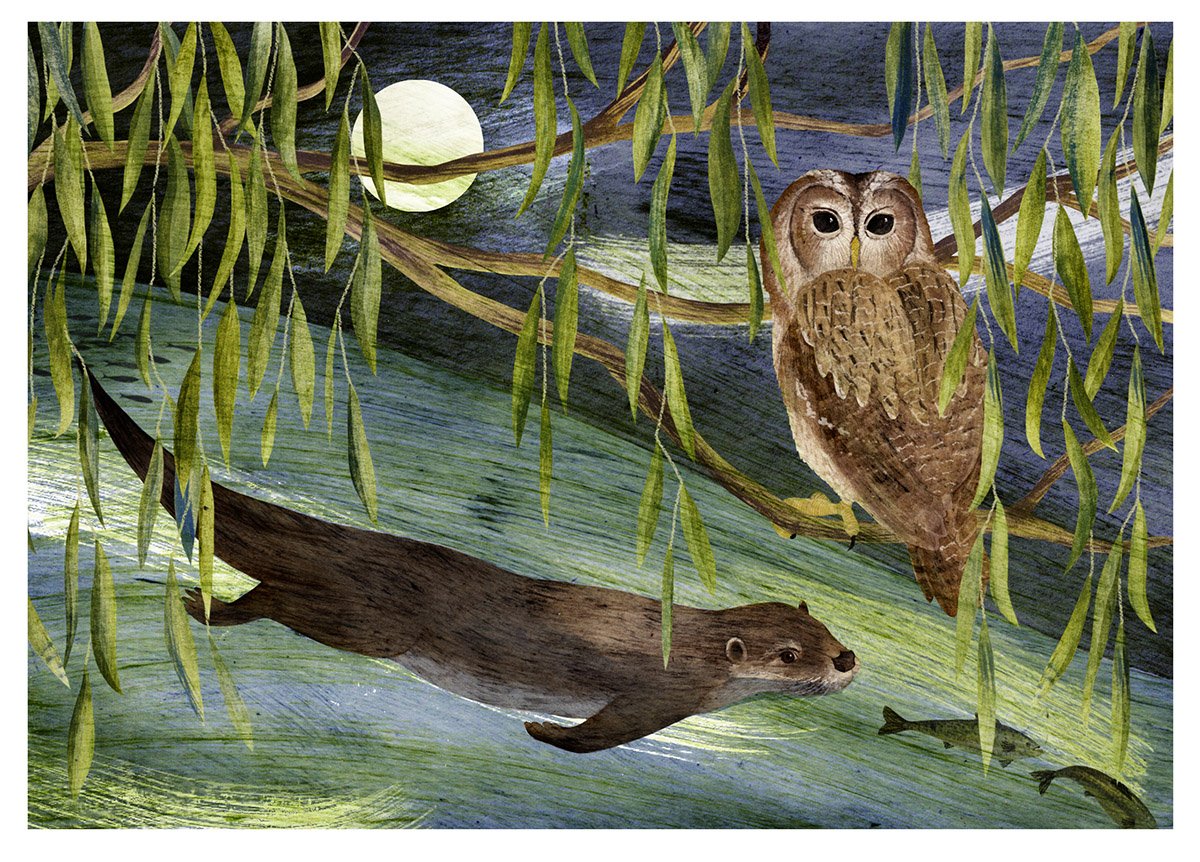 Hannah Bailey tweet media