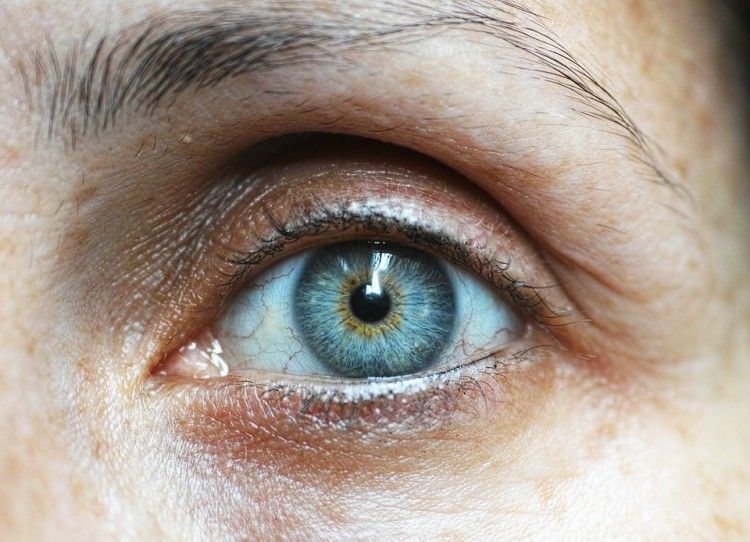ScelgoBenessere's tweet photo. Conosci l'Iridologia? Ecco cosa puoi scoprire attraverso la lettura dell'iride. Ce ne parla la nostra esperta Naturopata Ilaria Porta 👱 https://t.co/3X59wDvEOF

#scelgobenessere #staffSB #iridologia #operatoriolistici #Piemonte #followus https://t.co/S55eOfZWpu