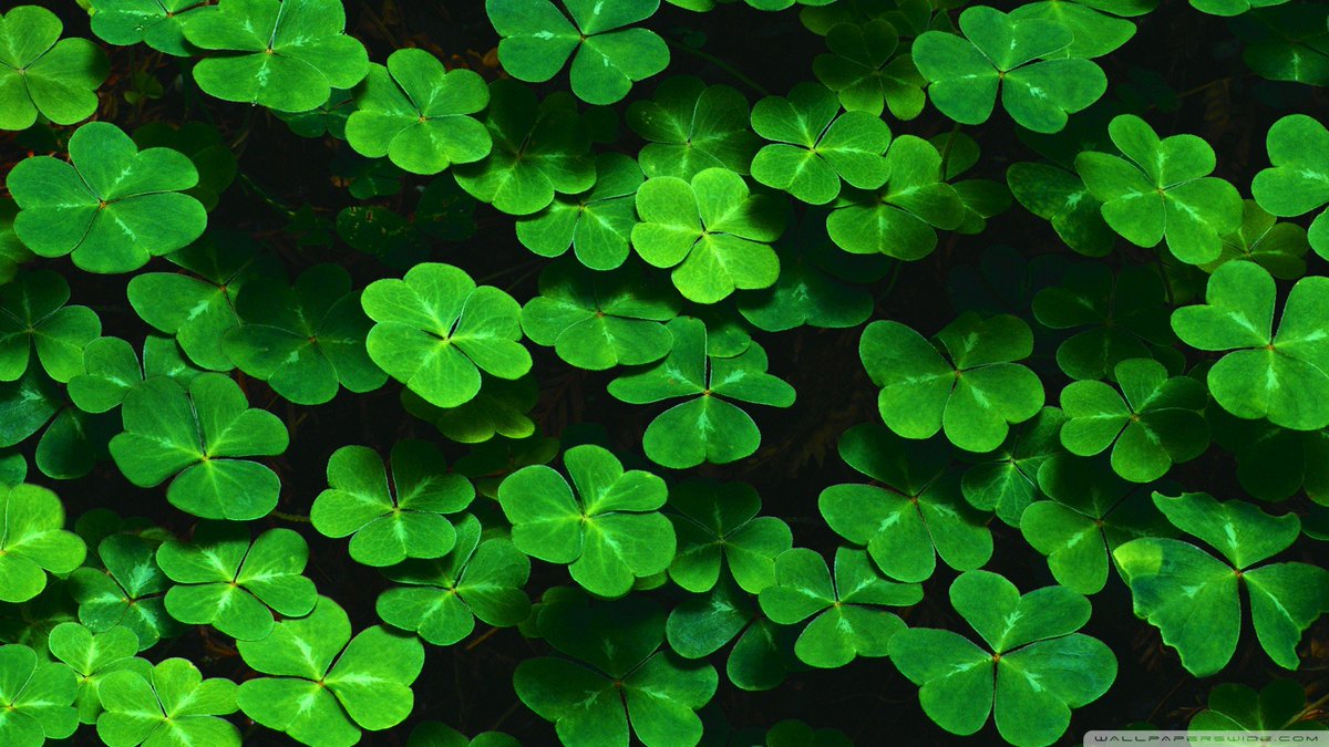 bioenergyEU's tweet photo. 🍀 Ireland, which has recently declared a #climate emergency, has introduced a game-changing support scheme for #renewable #heat 🔥. It goes by the name of #SSRH and it's already open for applications! Read more from @IrishBioenergy https://t.co/qurTL1gX7Q https://t.co/pvPgt2yBlF