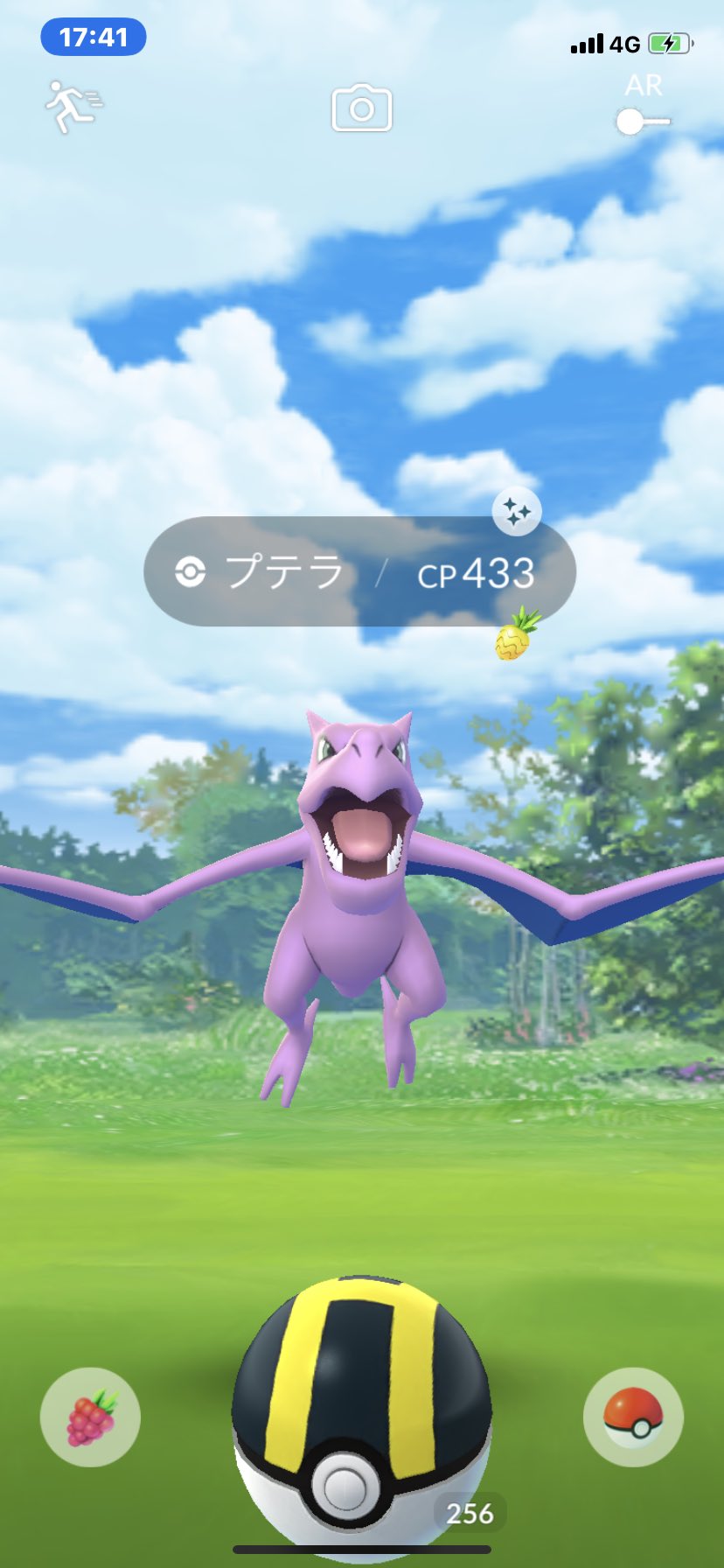 Marillope 体調不良宅ポケ 久々に いや 人生初か 野生のプテラくんに会えたら W もぉ今日は何もいらん ポケ活 完 プテラやはり好きだ 大好きだ ポケモンgo プテラ 色違い T Co 8qddhvfofa Twitter